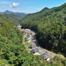 자연-이미지 이미지