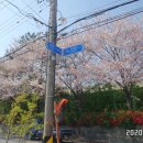 정수장추어탕 이미지