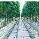 태곡농장 이미지