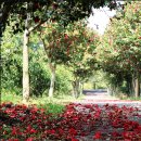 신흥2리마을 이미지