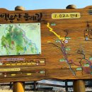 백운산둘레길9코스 티스토리