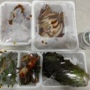 왕실족발 - 안성시 대림동산길 13 | 🐷신림역 족발 맛집 왕실 족발&보쌈 반반 족발 포장 후기