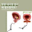 라임비뇨기과의원 이미지