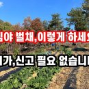 임야 벌채, 허가 신고 필요 없음 이미지