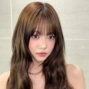 르무드헤어 이미지