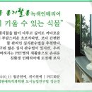녹색인테리어 이미지
