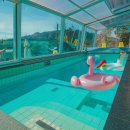 스테이 담아 이미지