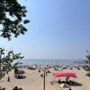 방아머리공원(솔밭) | 일상 속 가까운 힐링 바다, 방아머리해수욕장 아이랑 다녀온 후기