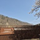 자라목공원 이미지