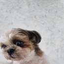 네일더행복하게 이미지
