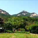 산들수목원 이미지