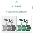 채릇채릇 이미지