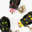 기능성머쉬 이미지