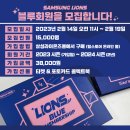 블루5000