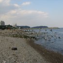 담아가게