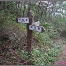 덕적면사무소 이미지