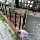푸른달엿새 네이버블로그