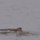 부엉이 PC방 이미지