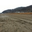 여주-0024 이미지