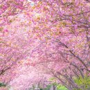 만수노인복지원 이미지