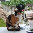 비량농원 이미지