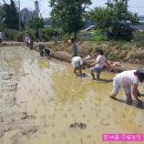 수완1제 이미지