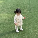 토이조이 | 돌아기 걸음마 신발 사이즈 나이키 미니위즈 팁토이조이 비교 후기