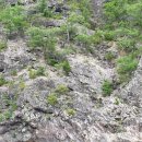 죽화우펜션 이미지