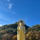 속리산 법주사 이미지