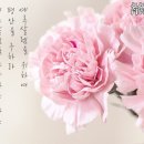 [하나님의 교회] 판단의 보좌 예루살렘 어머니 이미지