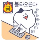 꼬꼬댁치킨 이미지