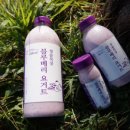 청솔2목장 네이버블로그