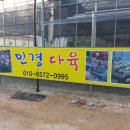 민경이네 다육 이미지
