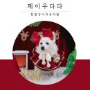 우다다 유치원 이미지