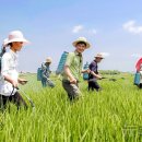 은천농장1 이미지