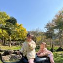 서문목욕탕 | 아이와 함께 광양 순천 2박 3일 여행 (순천만 국가정원 동물원)