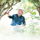 사람풍경