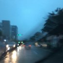 태희자연농장 | [0826~0902]7박 8일 제주 혼행 이야기