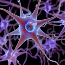 트렌드핏 남천점 이미지