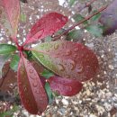 소가야가는길 이미지