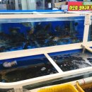 다복건어물 네이버블로그