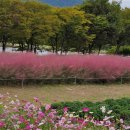 하남공원1 이미지