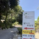 숲을 그리다 이미지