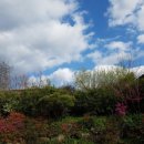 효정농장 이미지