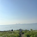 전북 부안 변산반도 여행코스 채석강 , 변산해수욕장 , 변산마실길 2코스 (노루목상사화길) 샤스타...