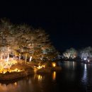 그레이스김밥 이미지