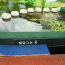 인삼랜드