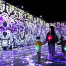 도시의 빛 | [여행] 통영 디피랑: 밤이 되면 살아나는 빛의 향연! 대한민국 1호 야간관광도시의 비밀