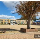 대명초병설유치원 이미지