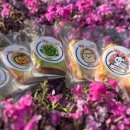 댕댕농부 이미지